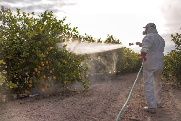 Pest Prevention Services in Newburgh, IN