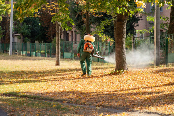 Best Pest Inspection Near Me  in Newburgh, IN