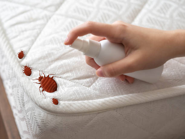 Best Spider Control Near Me  in Newburgh, IN