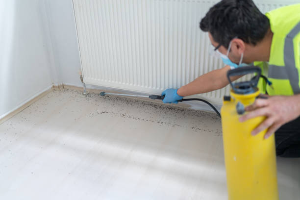 Best Bed Bug Extermination  in Newburgh, IN