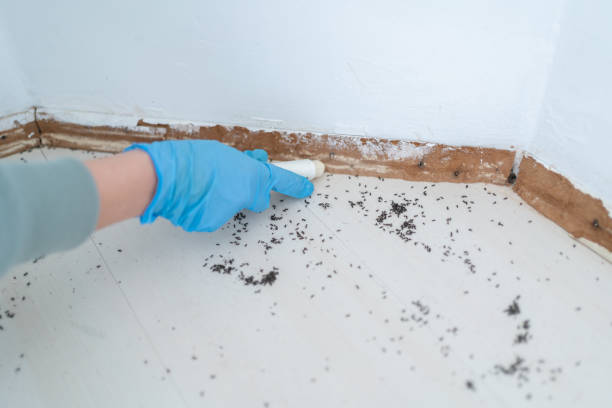 Best Pest Removal Services  in Newburgh, IN